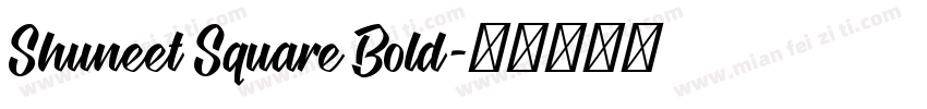 Shuneet Square Bold字体转换